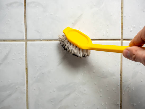 Horse Shoe, NC Mold Removal Company