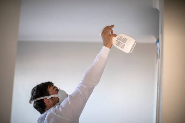 Best Local Mold Removal Service  in Horse Shoe, NC